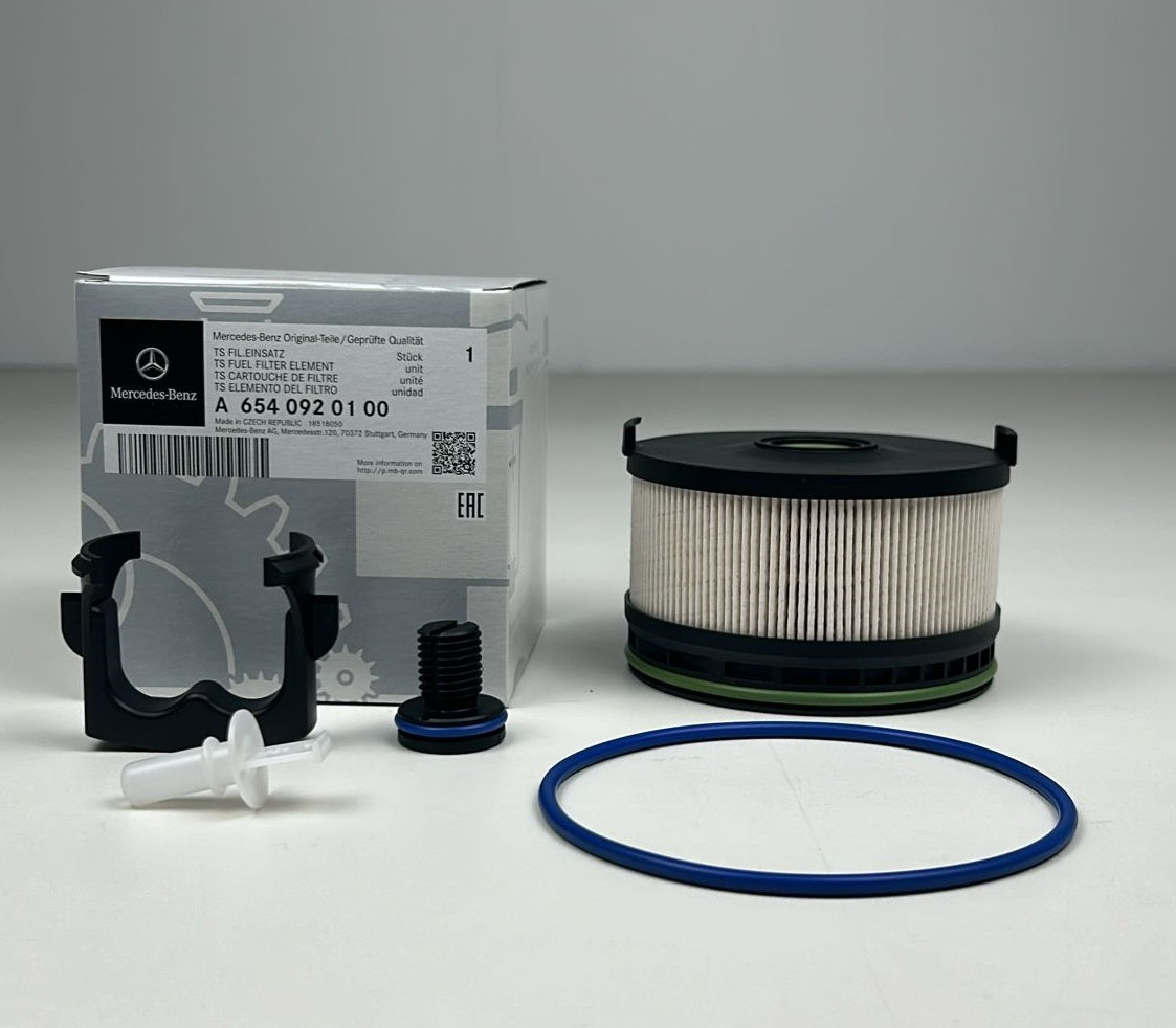Filtro Carburante Originale Fiat | Cod. A6540920100 | OEM Mercedes-Benz / Fiat